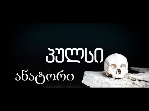 პულსი ( ანატორი )