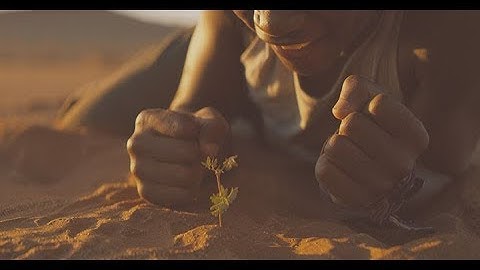 WHAT WE LOVE / Decathlon