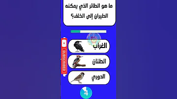 خمن ما هو الطائر الذي يمكنه الرجوع الى الخلف الغاز الغاز صعبة 