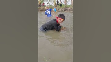 Nơm rô phi khủng #nomca