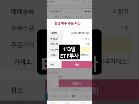 113일 ETF투자