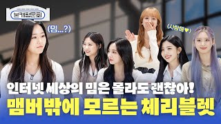 [ENG JPN SUB] 멤버 밖에 모르는 체리블렛(Cherry Bullet) 😍🤩😘 [본캐청문회]