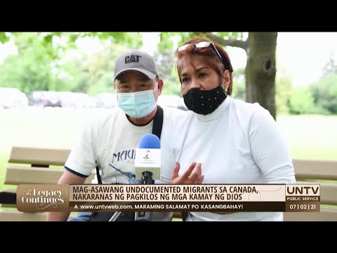 Video: Mga alagang hayop mula sa mga lumang magazine at pahayagan ni Samuel Price