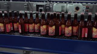 Dogfish Head Mango Smoovie on the packaging line!