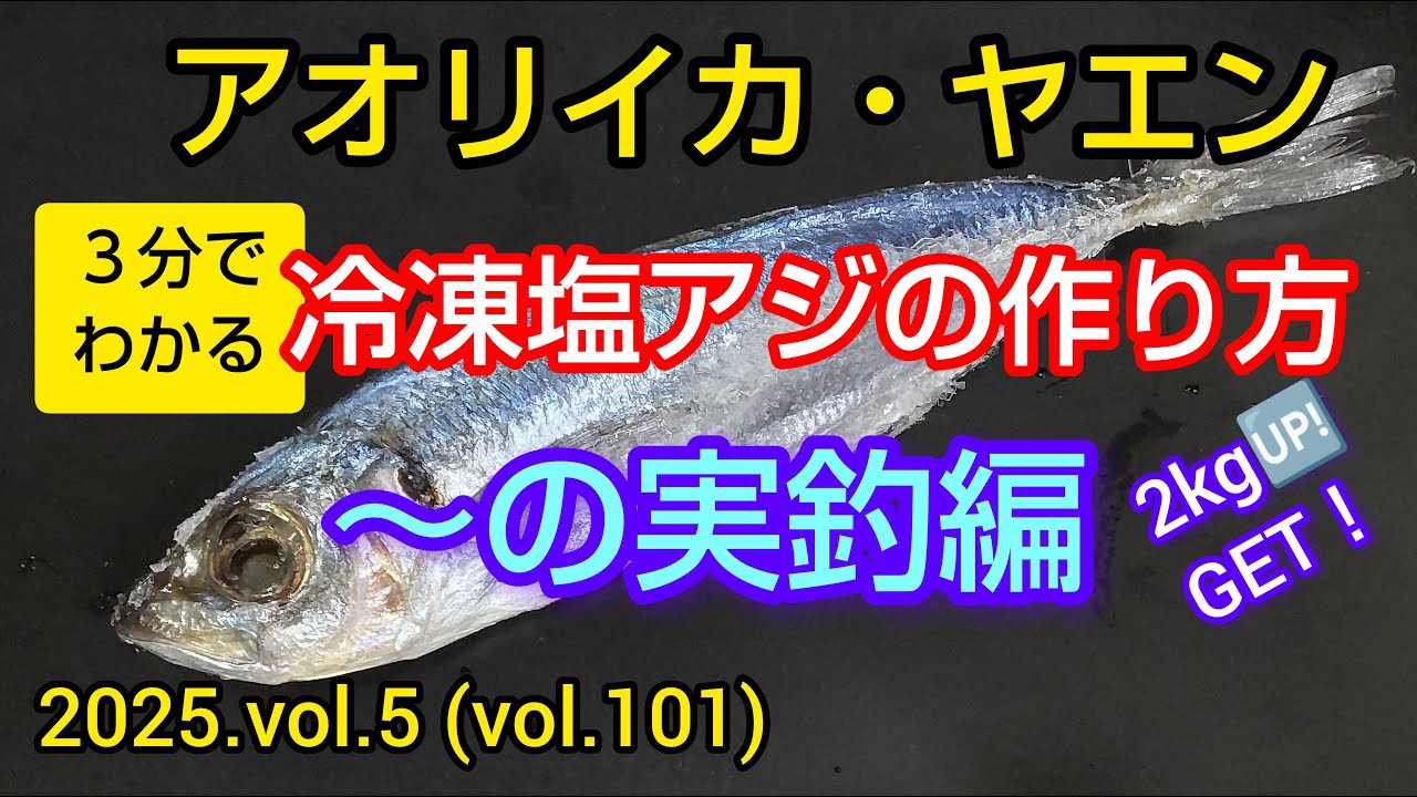 2025 3 14 冷凍塩アジの作り方～実釣編、ヤエン・アオリイカ