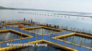 Mengenal Keramba Jaring Apung Dan Cara Pembuatan