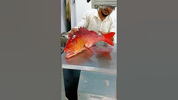Massive Sea Radsnapper fish 6 pce cutting skills video YouTube #viral #youtube #shorts #fish