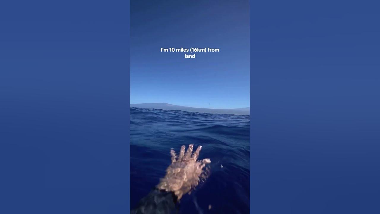This Is What Is Mean When When I Talk About Thalassophobia lol cool this-is-what-is-mean-when-when-i-talk-about-thalassophobia-lol-cool