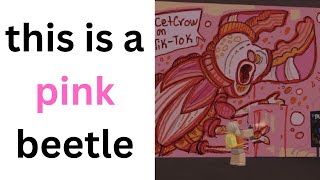 pink beetle by cetcrow 19 views 1 year ago 2 minutes, 28 seconds