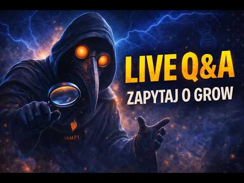 LIVE