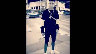 Aki Sivi Dom Official Audio 2023