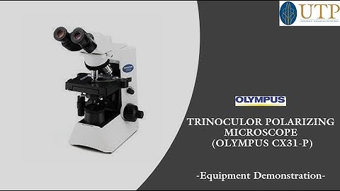 OLYMPUS Trinocular Polarizing Microscope