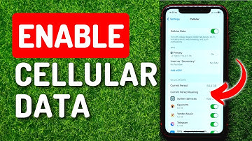 How to Enable or Disable Cellular Data on iPhone