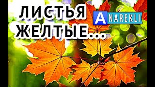 ВИА Самоцветы / Листья Желтые / Телеканал Звезда / 2012 ...