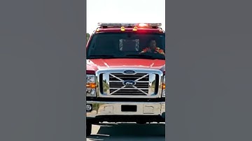 3 🦄🐍 Emotional Rescue: Horse with Autism Saved from Giant Python Attack!