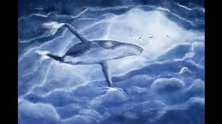 RELAXING - 1 HOUR WHALE SOUND FOR SLEEPING (1 JAM SUARA PAUS)