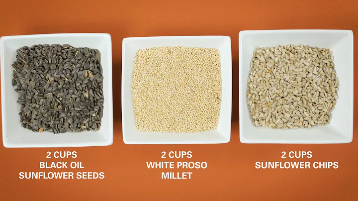 DIY Project: Make Your Own Birdseed Mix