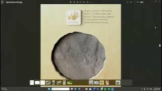 NHSM Fossil Club: Dinosaur National Monument