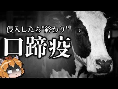 【口蹄疫】侵入したら"終わり"のウイルスが空港で見つかりました…のサムネイル