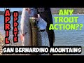 Trout Fishing Update: San Bernardino Mountain Waters  | April 2020