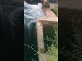 How Water Motor Works in Village | Real Life Visit