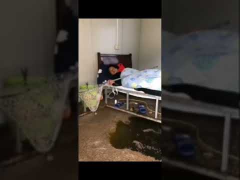 Directed By ROBERT B WEIDE Ad Trend Funny Funnyvideo Fyp Xyzbca Foryoupage Fypシ 