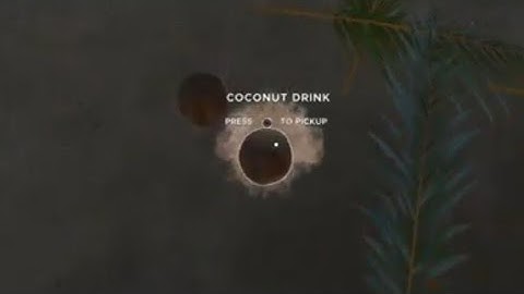 Stranded Deep with 2 coconuts unlimited water PS4