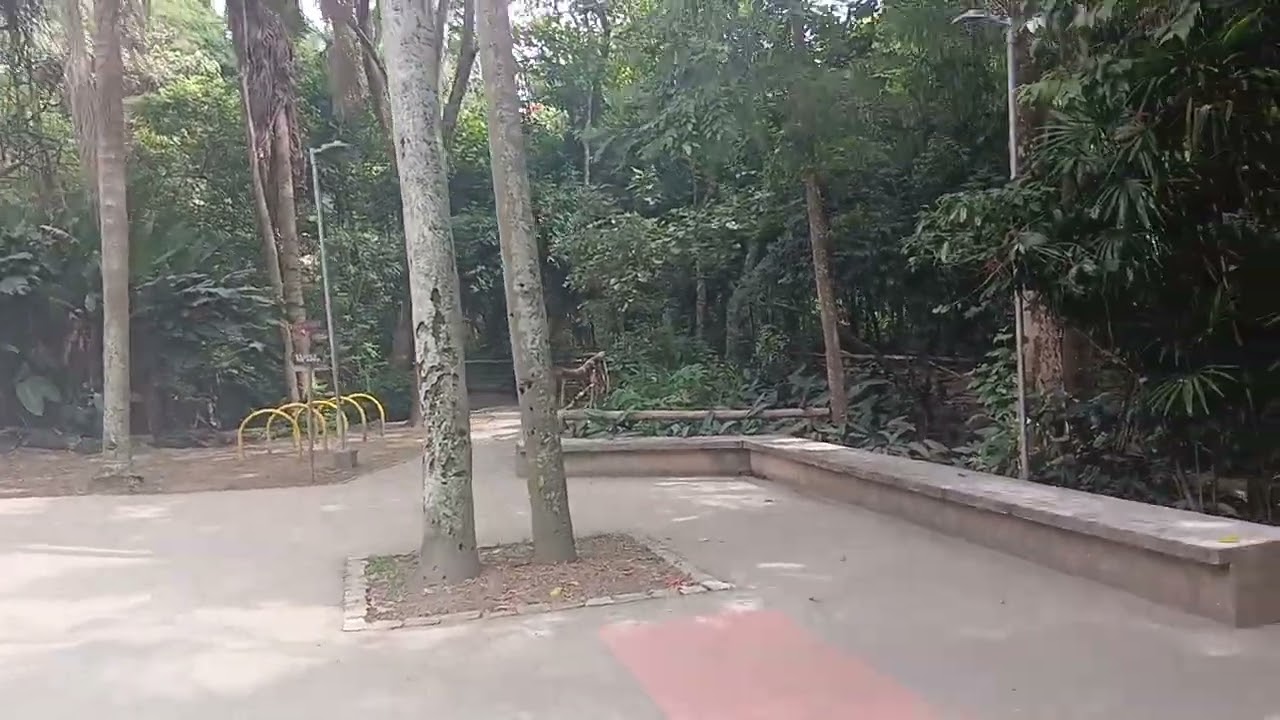 Parque das Flores Itaim Paulista Geraldo Gomes mostrando o dia a dia de São Paulo