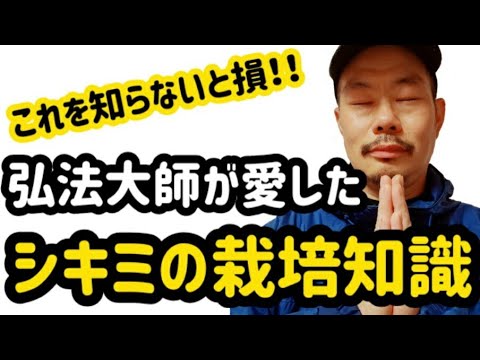 弘法大師が愛した シキミの栽培 知識 Youtube 弘法大師が愛した シキミの栽培 知識 Youtube