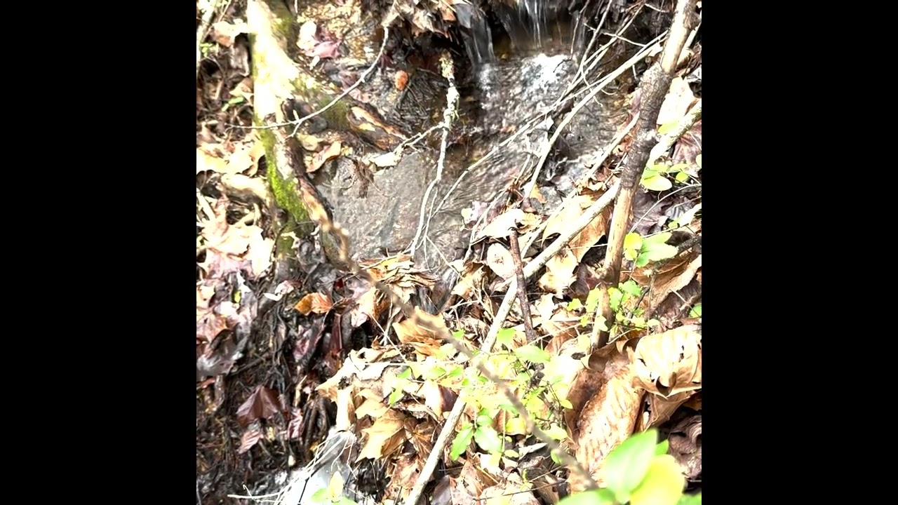 Bubbling brook with guided imagery