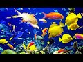 Beautiful Relaxing Music to Relieve Stress, Anxiety &amp; Depression 🐠 Mind, Body &amp; Soul Healing #12