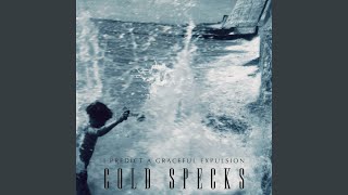 Video thumbnail of "Cold Specks - The Mark"