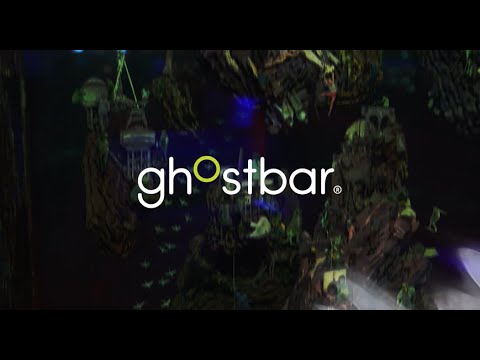 Bmg Casino | Gallo de la suerte!🍀 #casino #lasvegas #apuestas #shorts #shortvideo #slots #dinero
