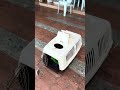 Bird Pet Carrier 60x30x30cm | Perfect Travel Carrier for Parrots 🦜 #petbird #parrot #eclectusparrot