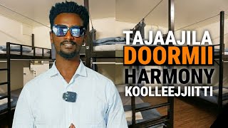 TAJAAJILA DOORMII HARMONY COLLEGE TTI KENNAMUU JALQABEE JIRA #oromomusic #harmonymedia