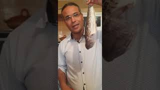 خطير حول سمكة الرانيا  او سمكة العقرب.a dangerous  fish