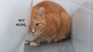 Download Lagu 다시 시작된 단식투쟁 MP3 Download Lagu 다시 시작된 단식투쟁 MP3