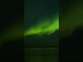 Aurora Borealis Northern Lights at Anchorage #aurora #borealis #northenlights #alaska