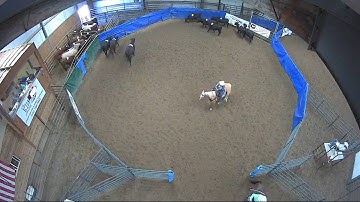 Big Sky Ranch Sorting Saddle Series #6 - #8 HC Ranch Hand - Round #1 - Ride #9