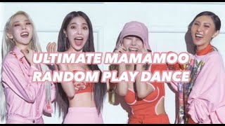 ULTIMATE MAMAMOO RANDOM PLAY DANCE | CHOI LATTÈ ☕️🤍