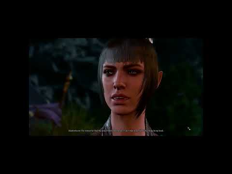 Baldur's Gate 3 Talk with Wyll and Shadowheart in Camp