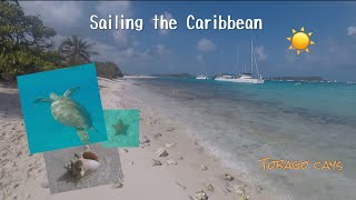 Sea Turtles & Much more in Tobago Cays - Sailing The Caribbean (Ep. 12)