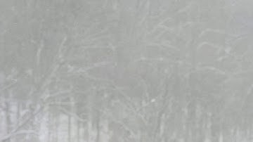 Snowflakes Are Dancing by Tomita