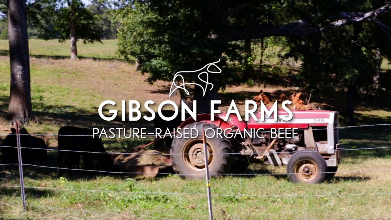 Carolina Organic Project Gibson Farms YouTube