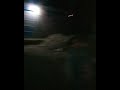 حالات واتس اب ياريت لو احبسك
