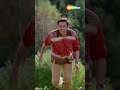 Oh Mere Dholana _Aashiq #bobbydeol #karishmakapoor #romanticsong #ytshorts #filmigaane