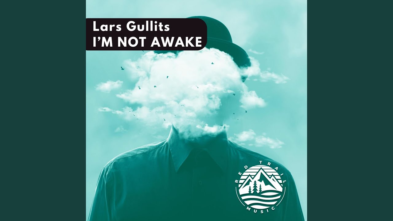 I'm Not Awake (Original Mix)