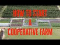 How to start a cooperative farm