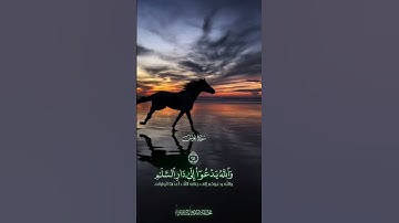 سورة یونس..الشیخ محمد صدیق المنشاوی #اكسبلور #القران #لايك #راحة_نفسية #duet