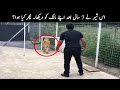 This Lion Has Spent 7 Years Without Seeing Its Master… Look What Happened | TOP X TV
